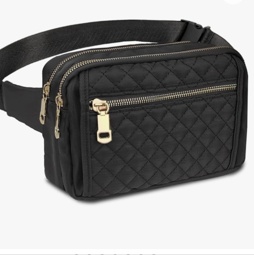 NWT fanny pack